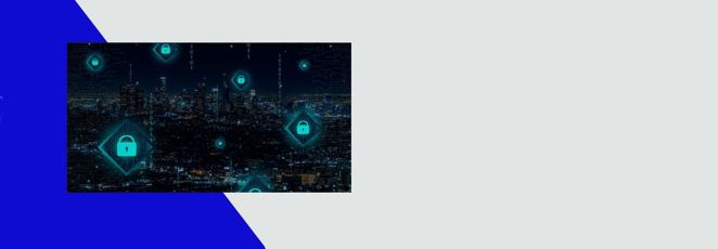 Omni-Tokens for Security