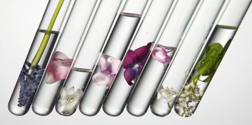 Value to Laboratories